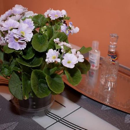 Central Apartment Maria Sibiu Exteriér fotografie