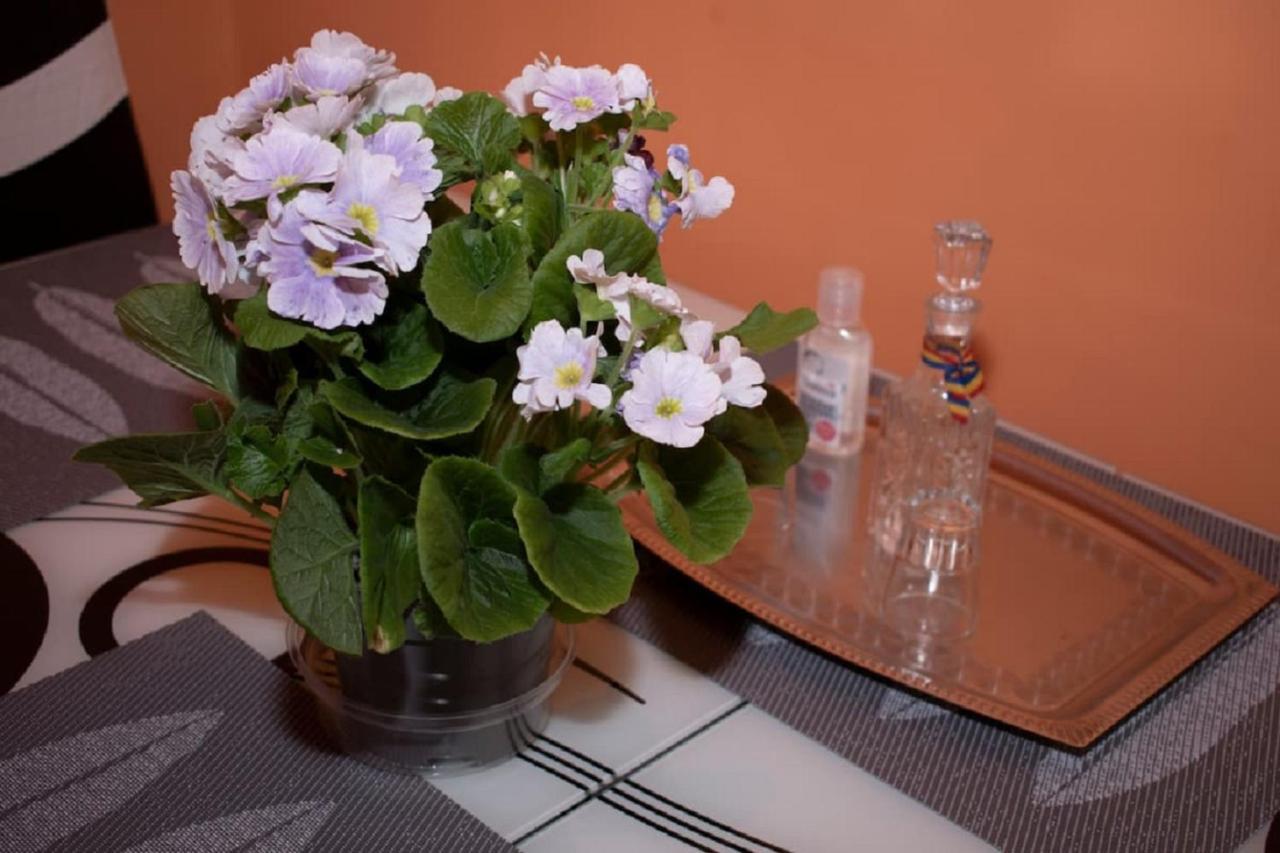 Central Apartment Maria Sibiu Exteriér fotografie